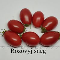 Rozovyj sneg